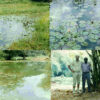 acheter nymphaea Micrantha for sale buy on line (5)