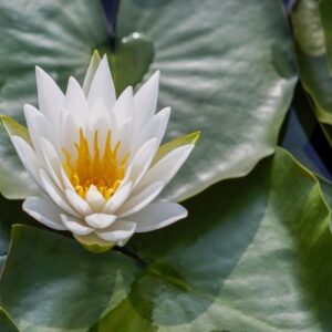 test2 1