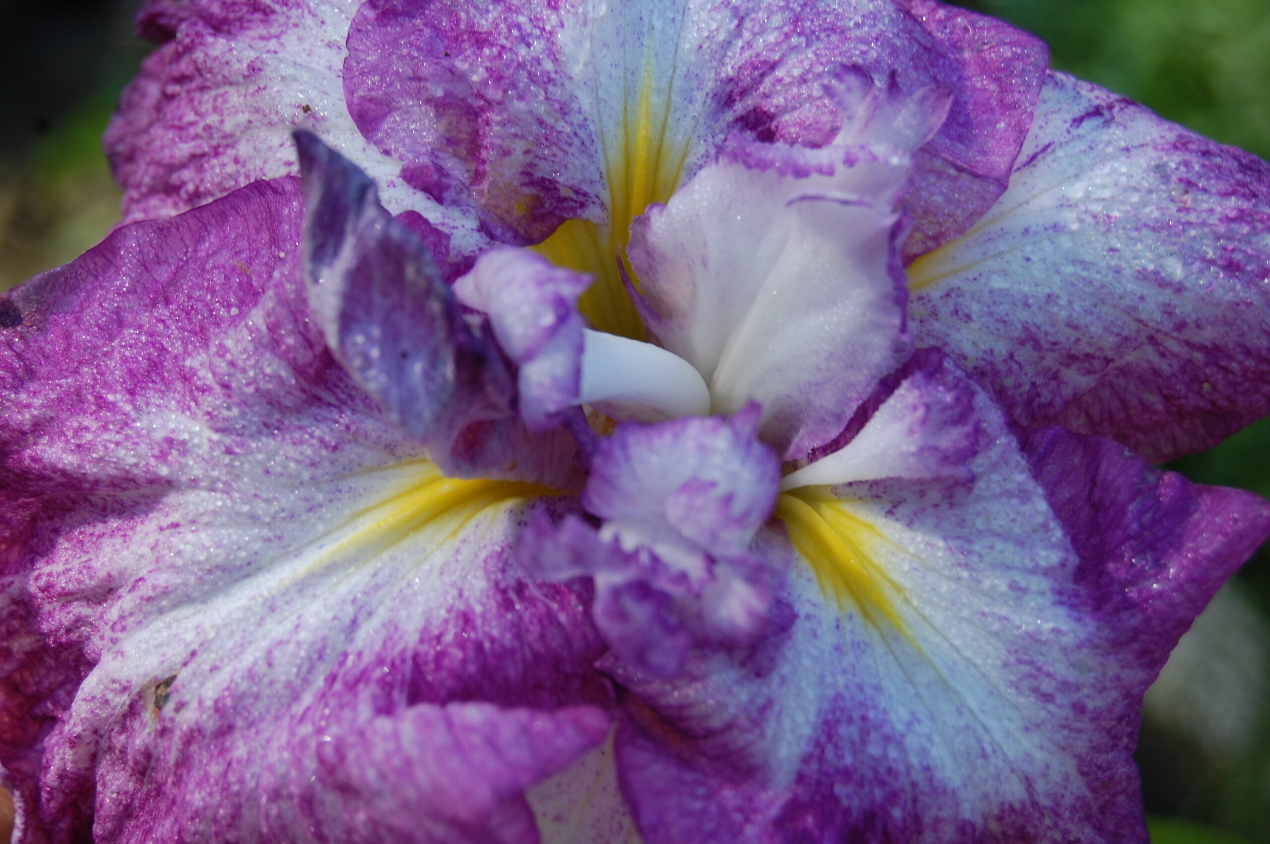 DSC 0029