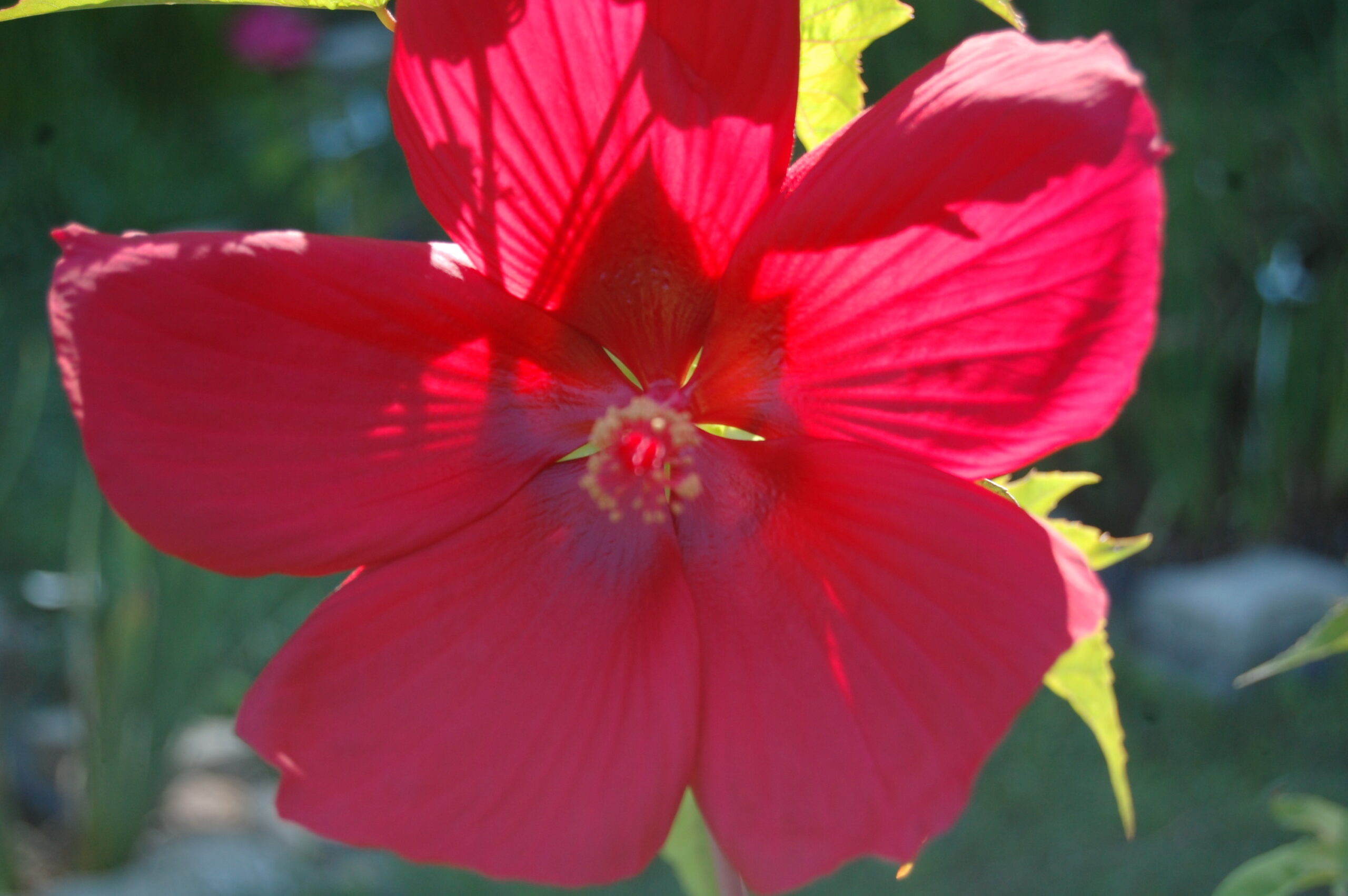 DSC 0018