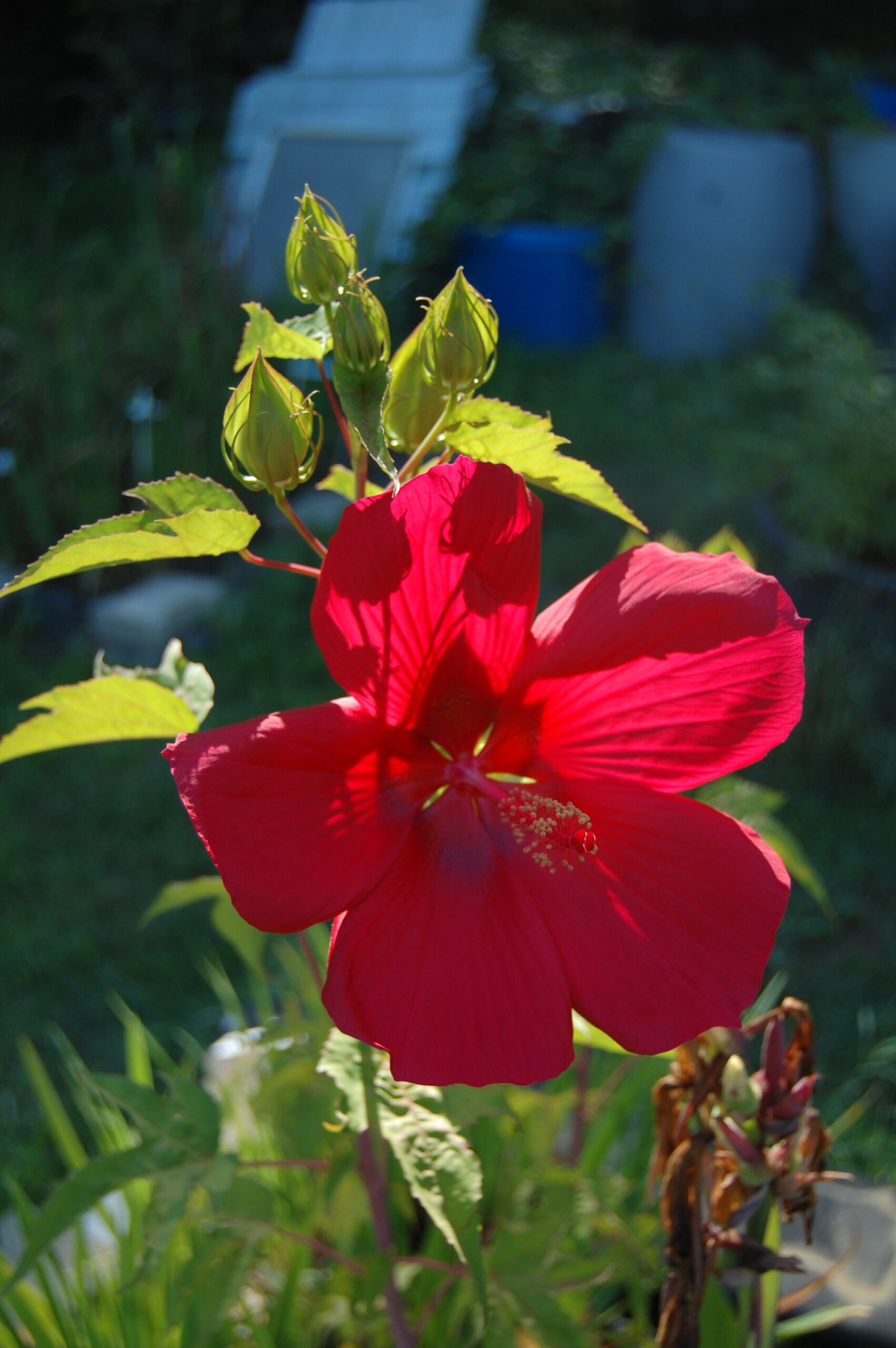 DSC 0020