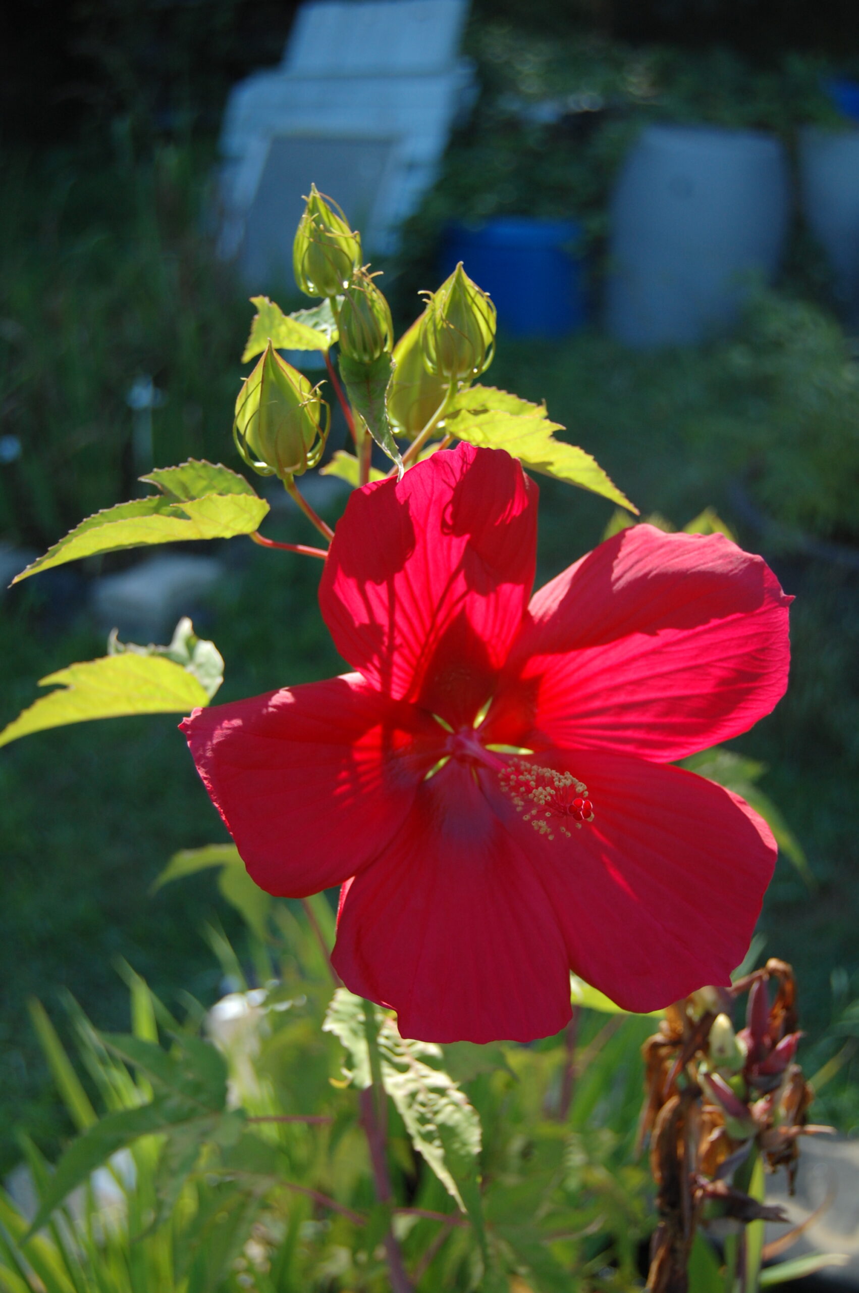 DSC 0021