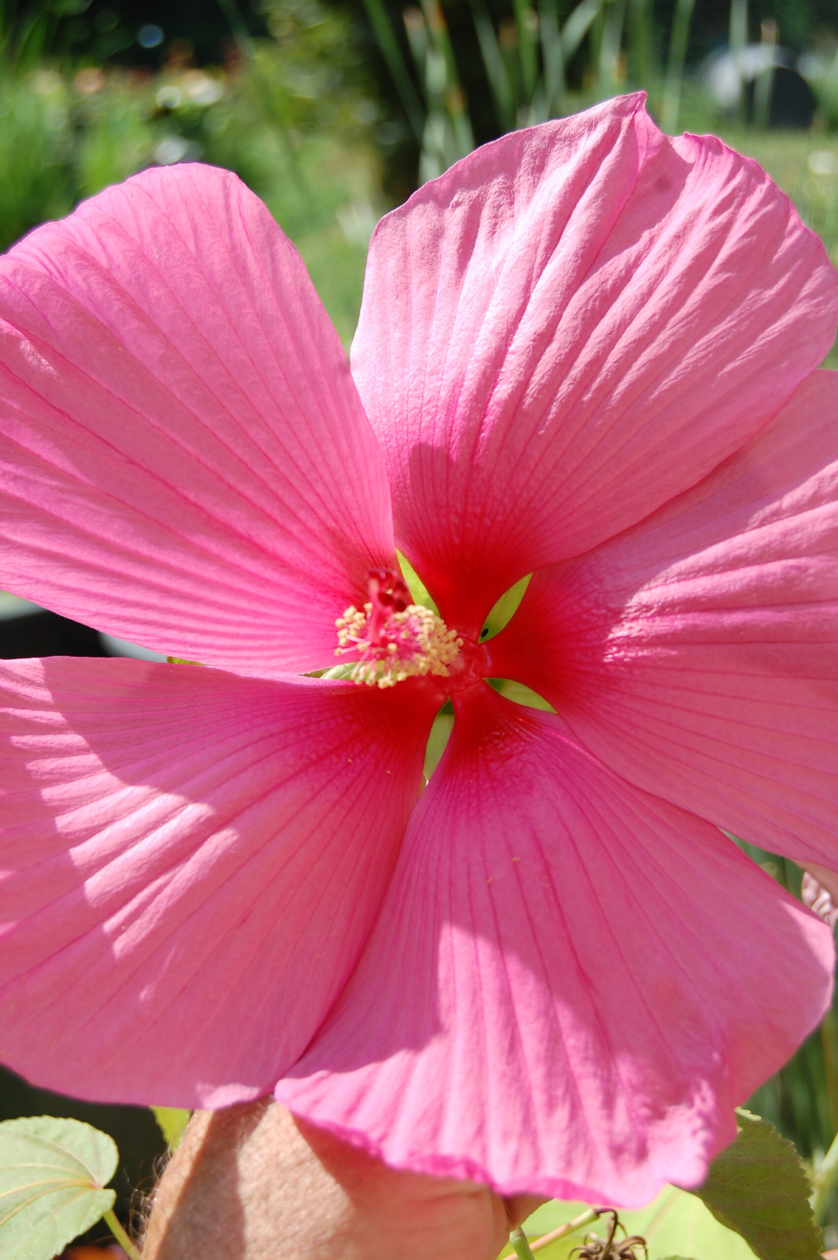 DSC 0045