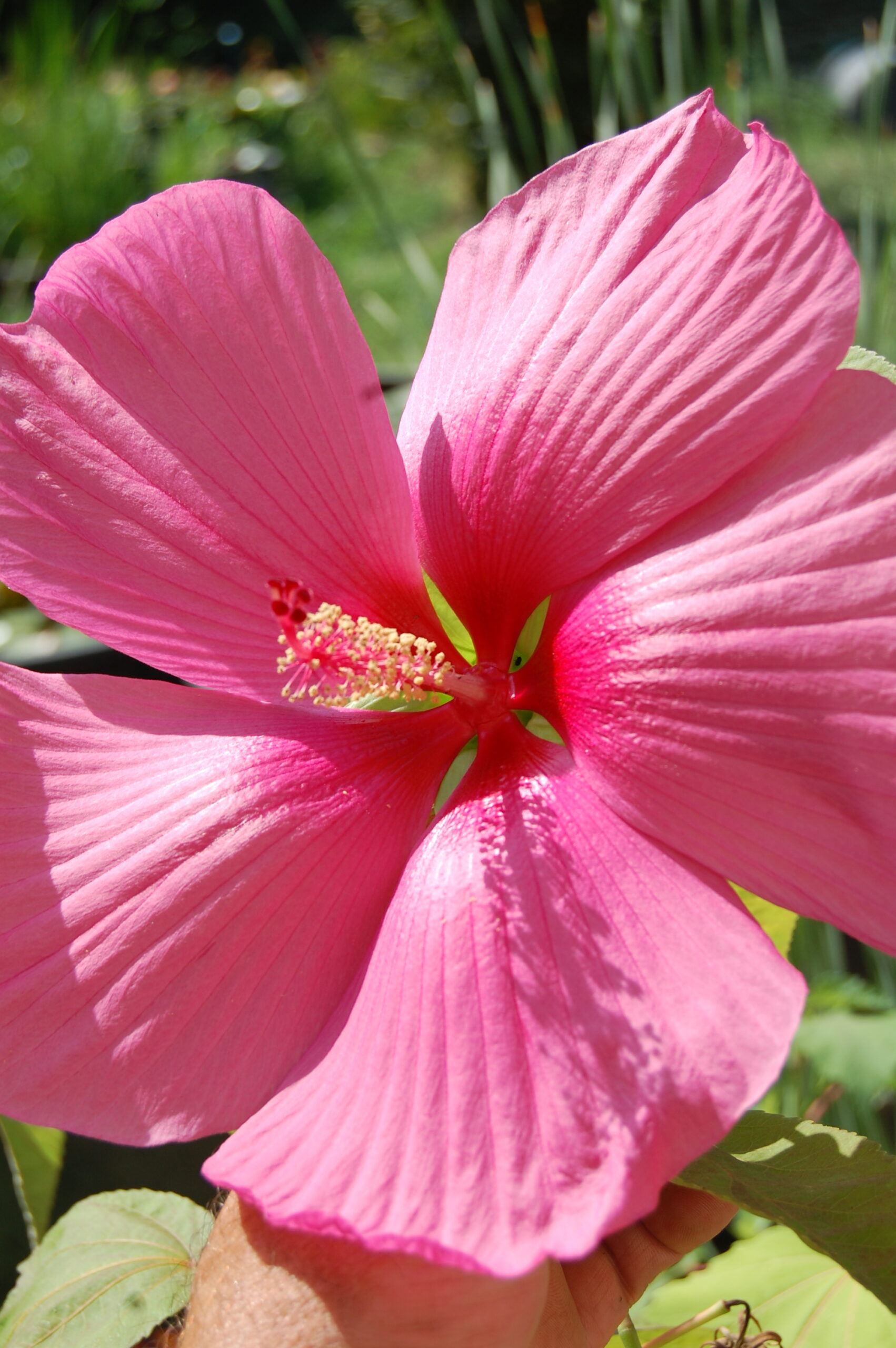 DSC 0046