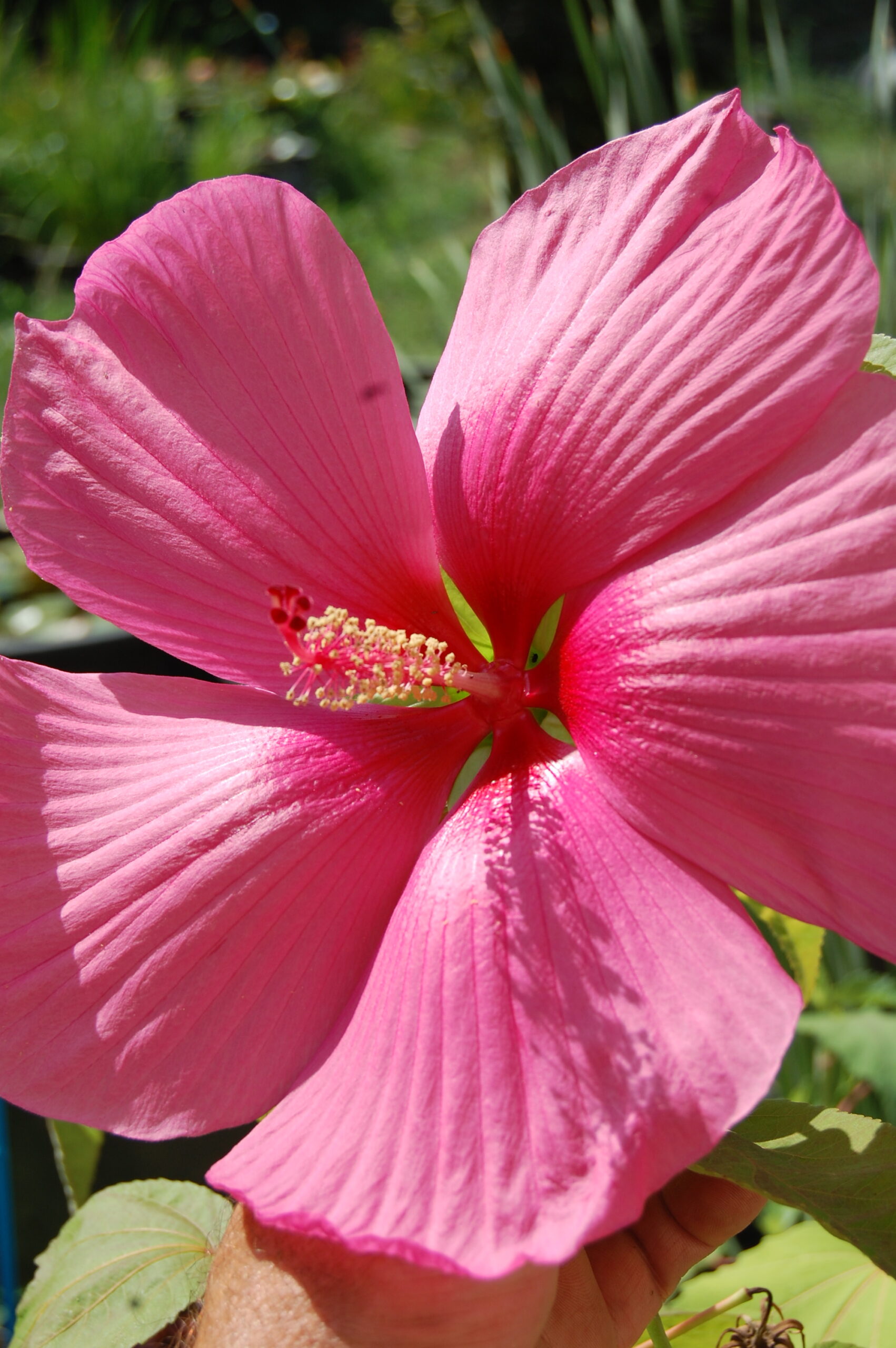 DSC 0047