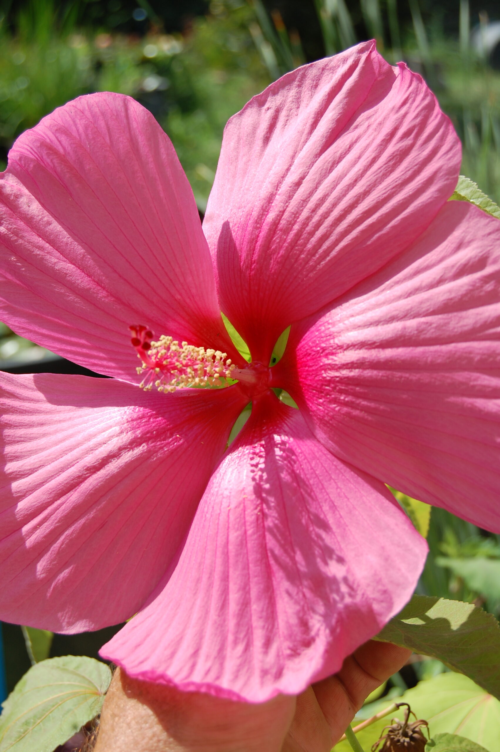 DSC 0048