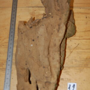 acheter bois fossiles décors d'aquarium for sale buy on line (1)