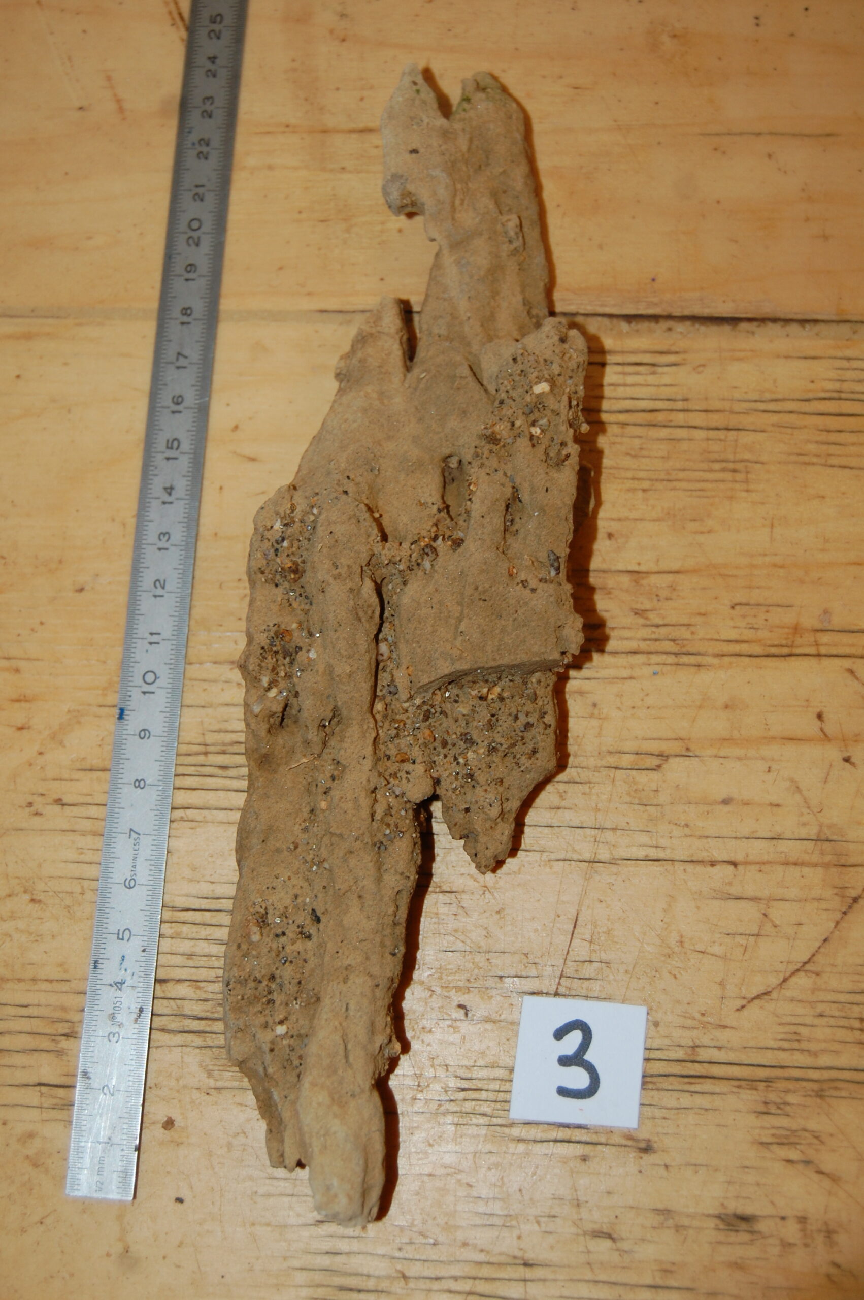 acheter bois fossiles décors d'aquarium for sale buy on line (10)