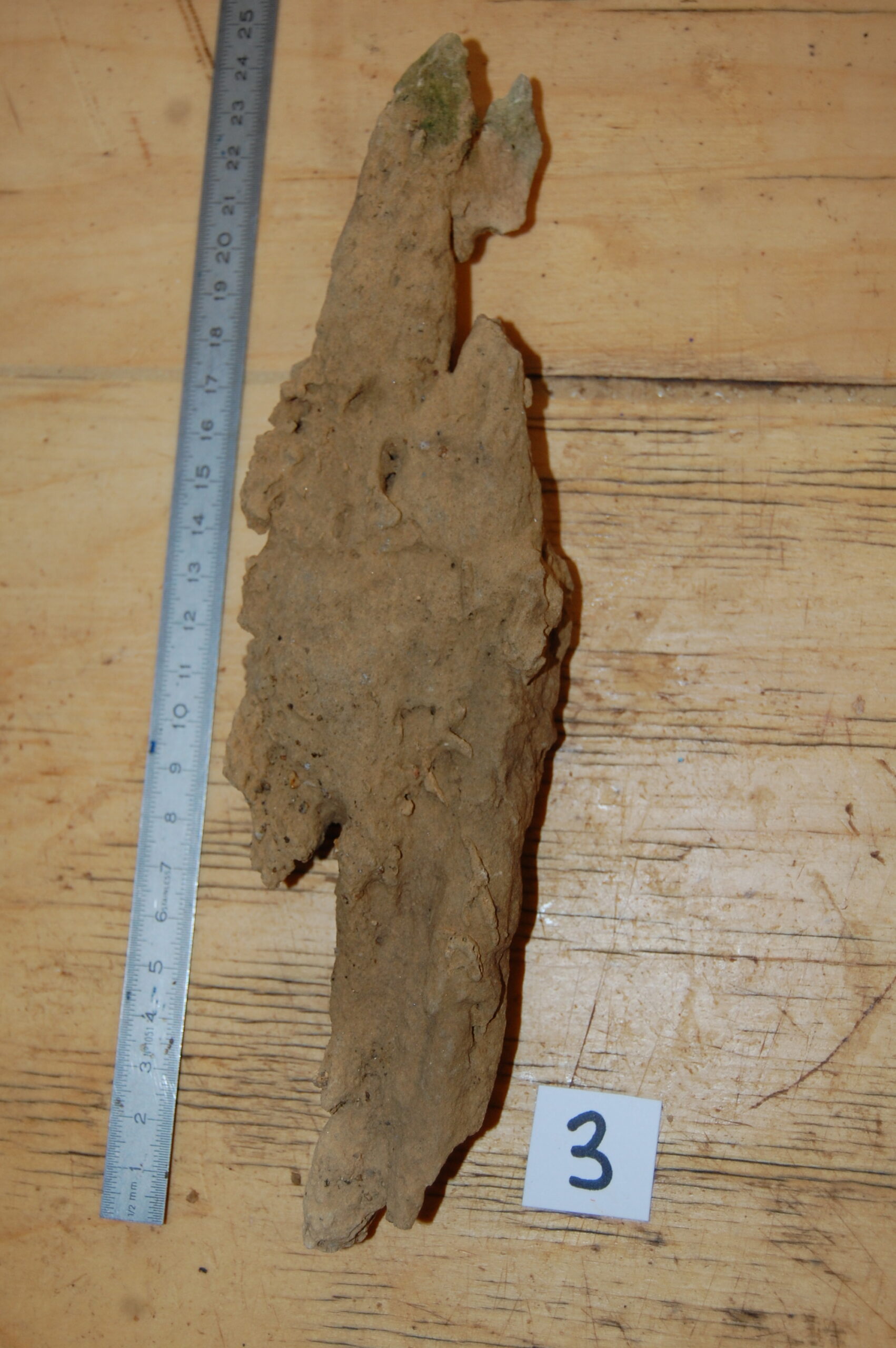 acheter bois fossiles décors d'aquarium for sale buy on line (11)