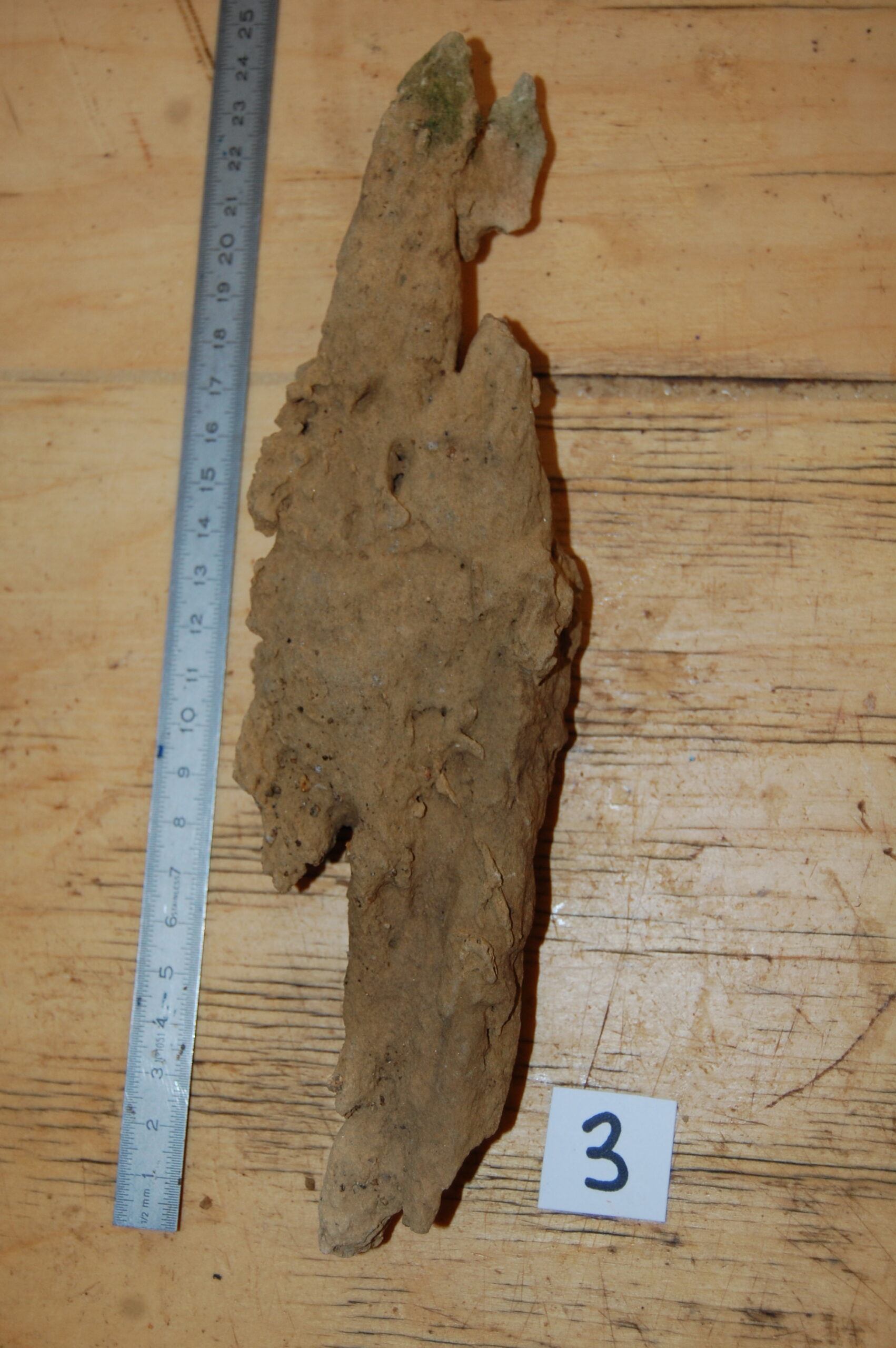 acheter bois fossiles décors d'aquarium for sale buy on line (12)