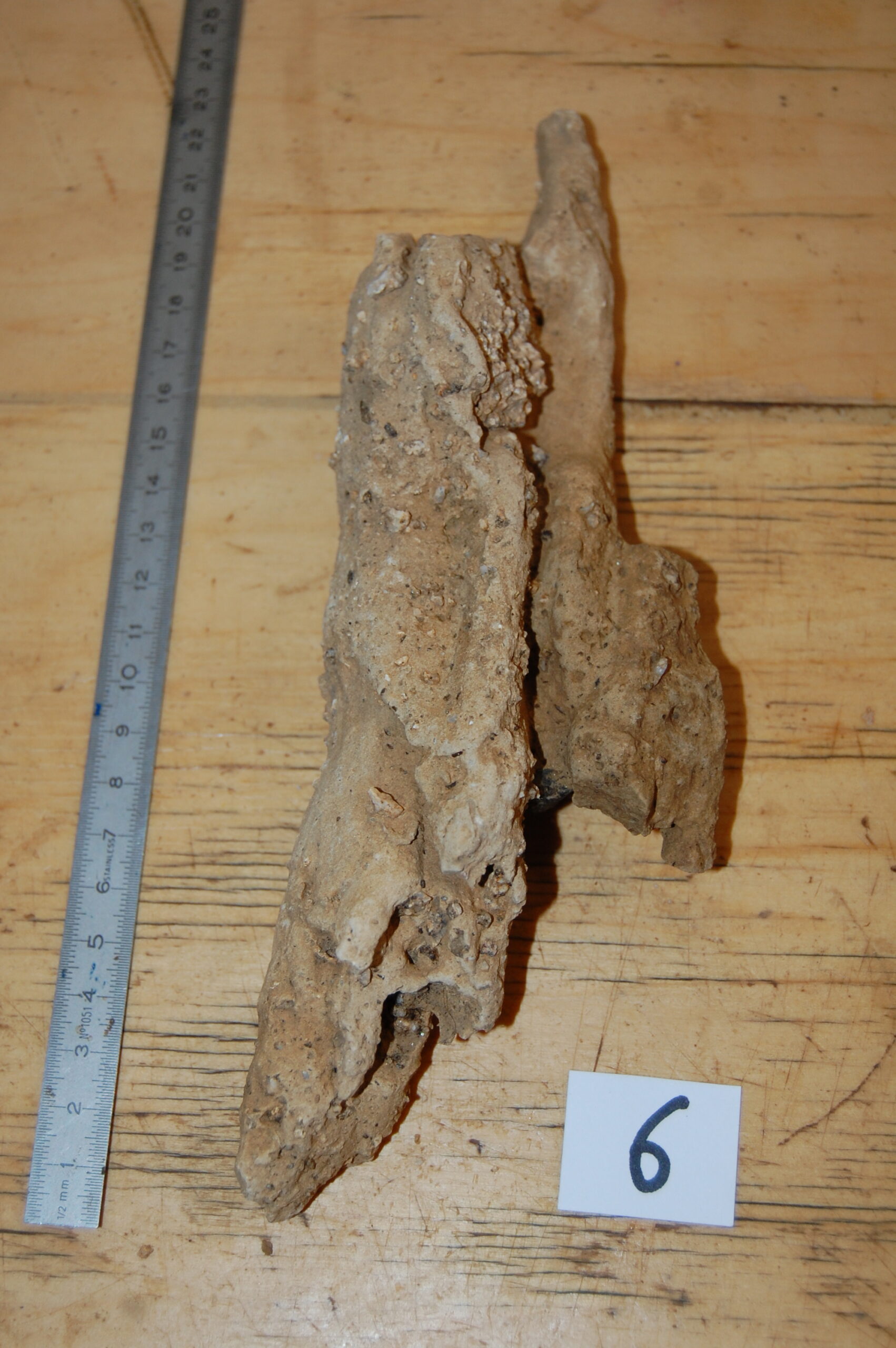 acheter bois fossiles décors d'aquarium for sale buy on line (23)