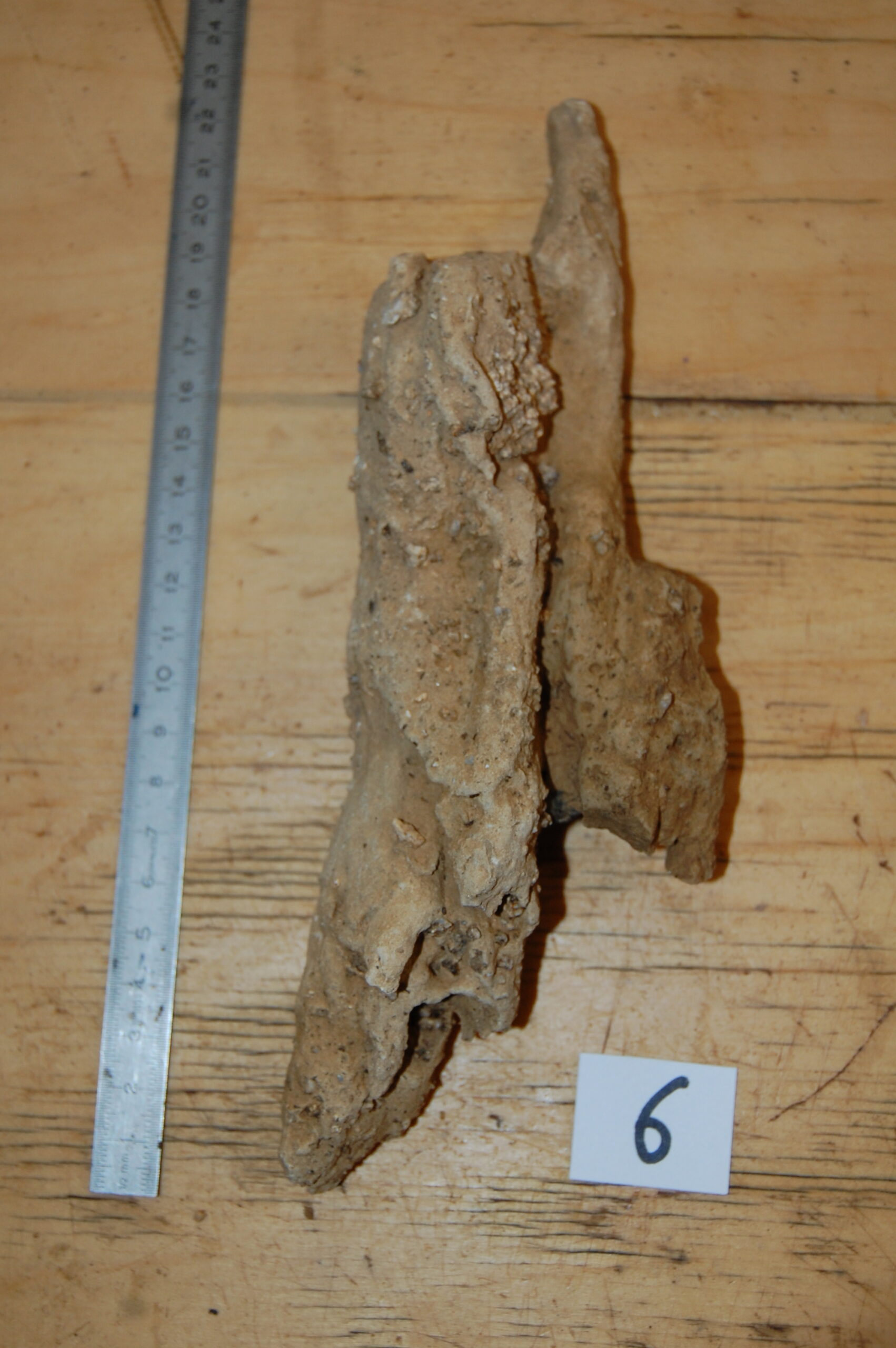 acheter bois fossiles décors d'aquarium for sale buy on line (24)