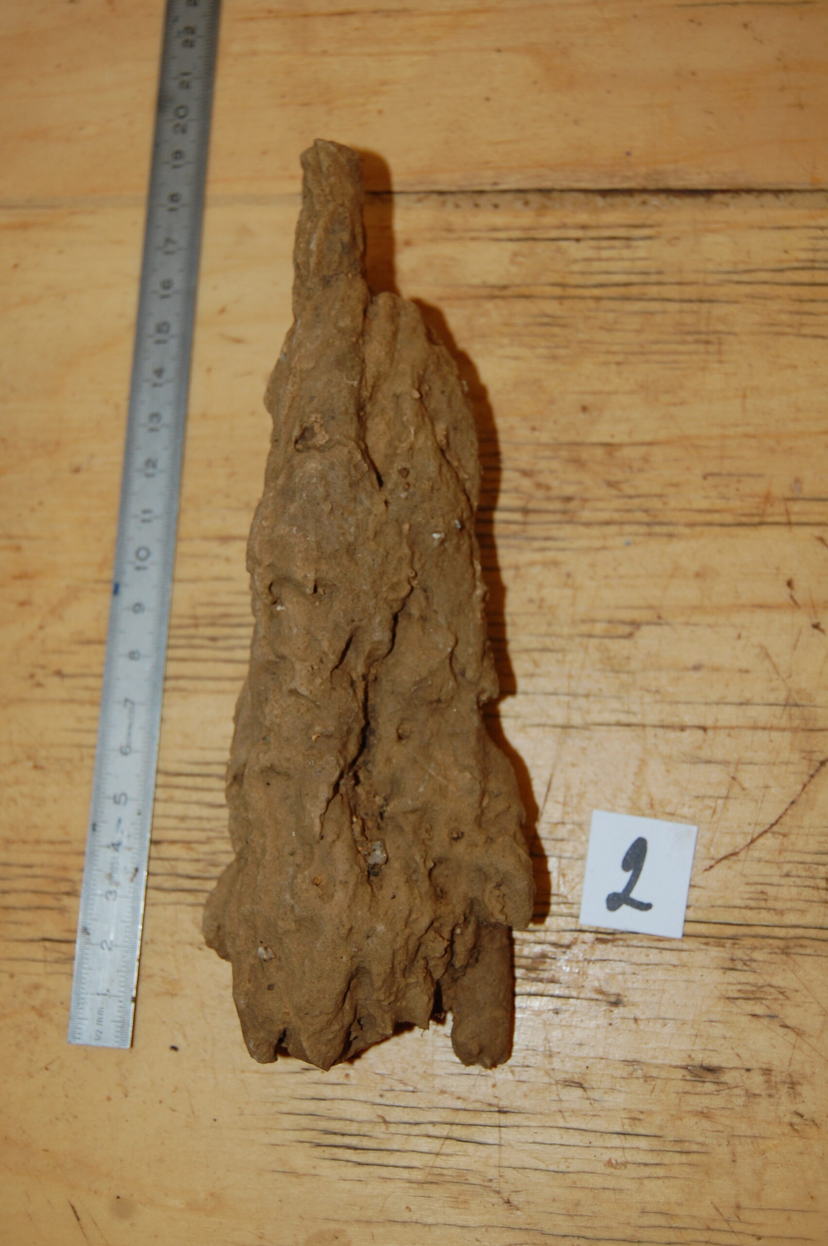 acheter bois fossiles décors d'aquarium for sale buy on line (5)