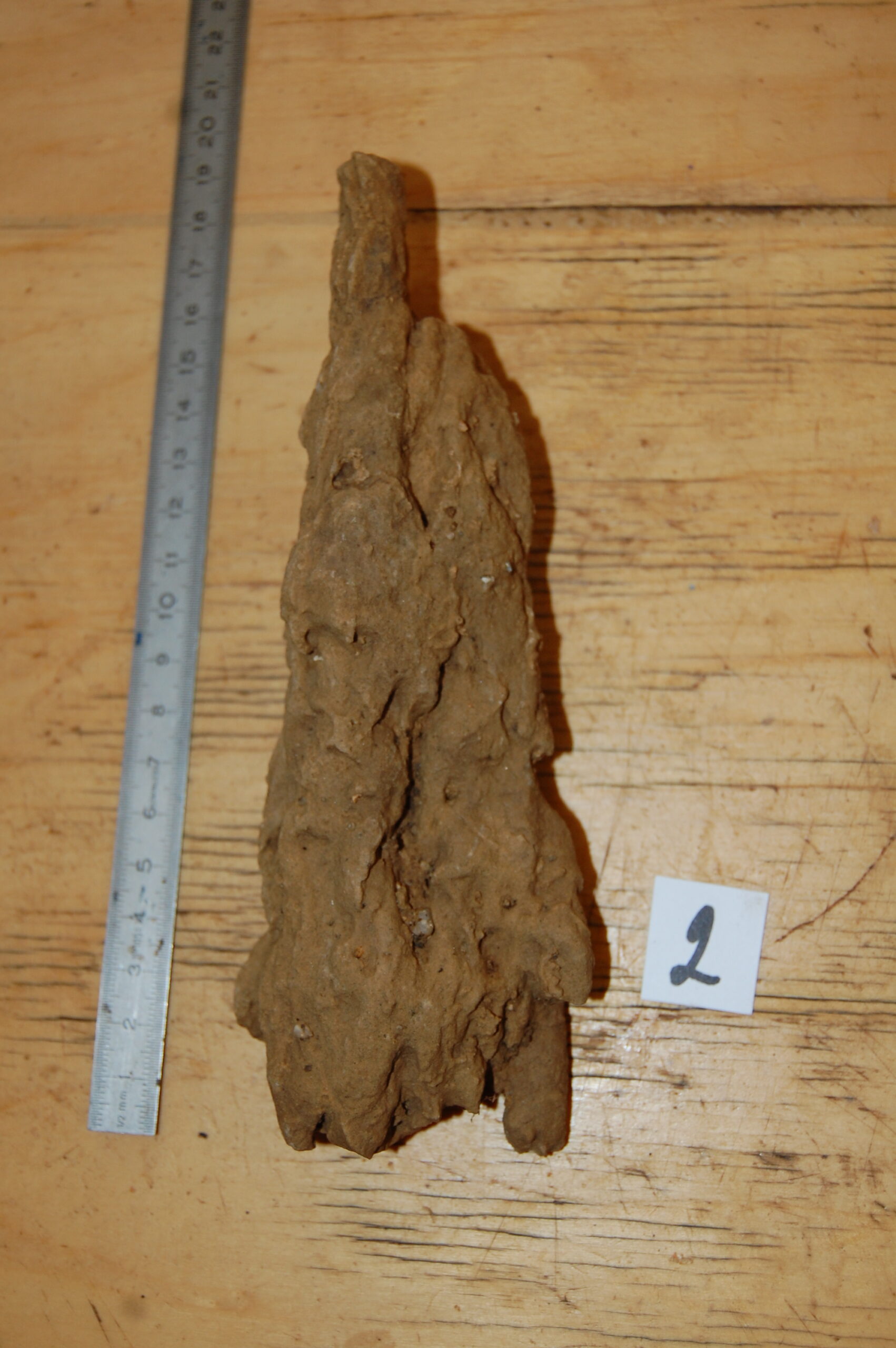 acheter bois fossiles décors d'aquarium for sale buy on line (6)