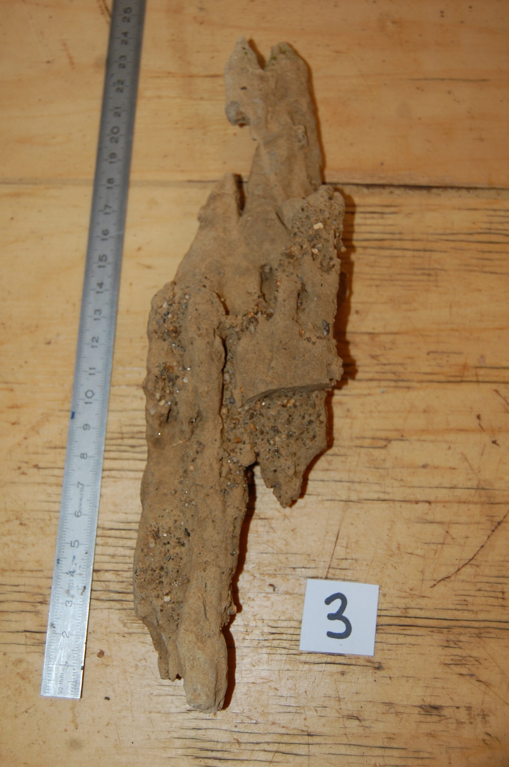 acheter bois fossiles décors d'aquarium for sale buy on line (9)